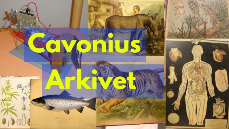 Cavonius arkivet